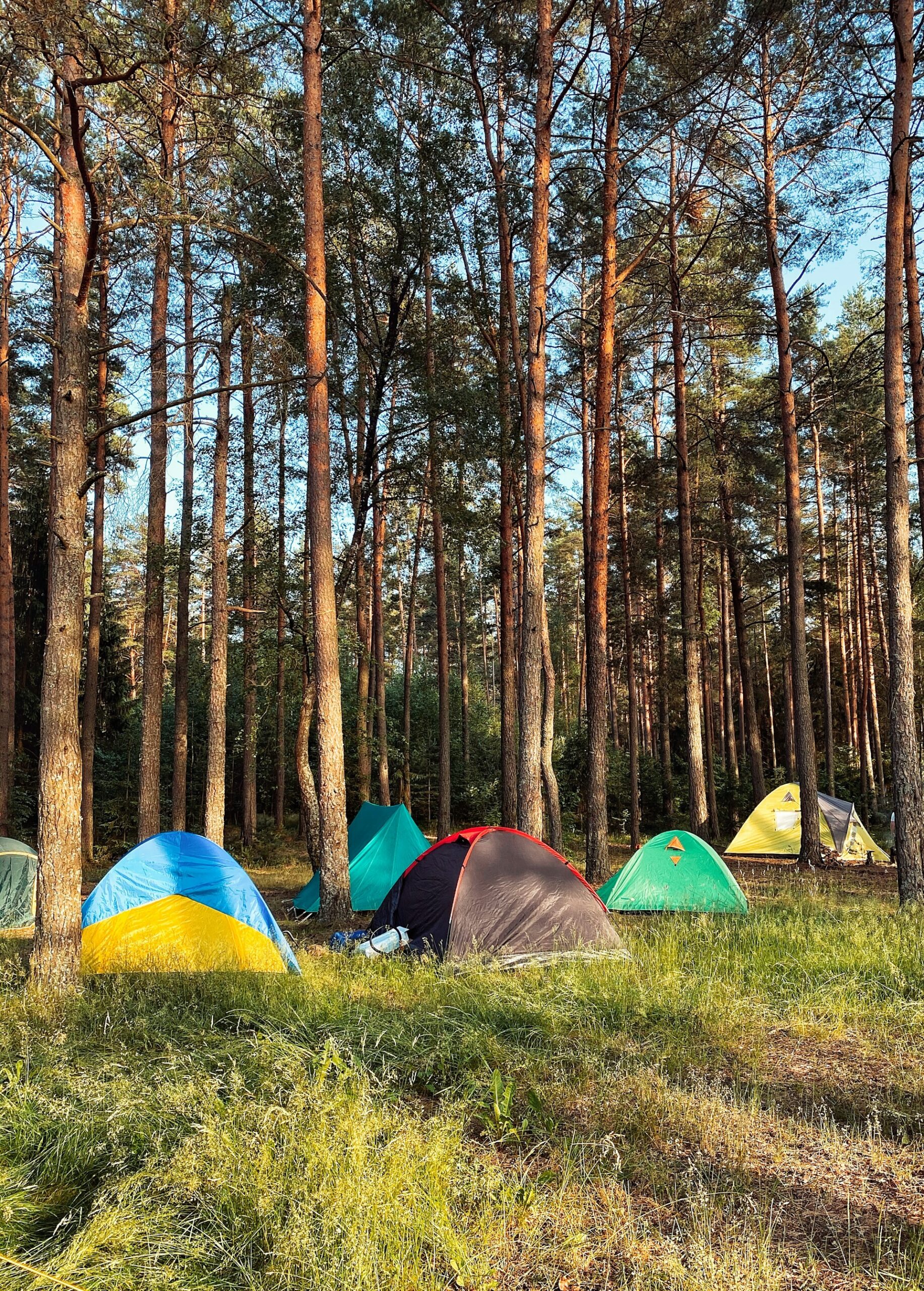 camping budget tents